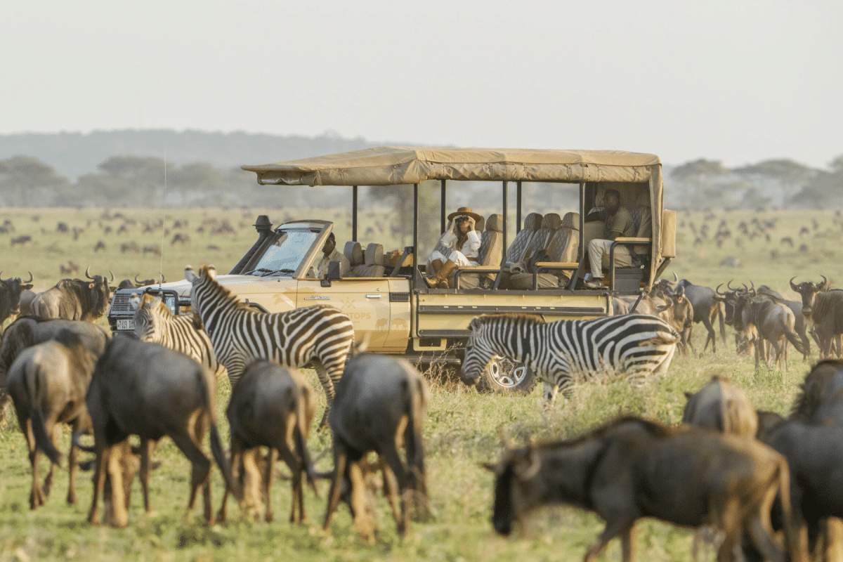 Great Wildebeest Migration Safaris - Tanzana Safaris - Serengeti Safaris - Cheetah Safaris