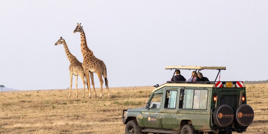 Cheetah Safaris – Luxury African Safaris – Kenya Safaris – African Safari Holidays Cheetah Safaris - Luxury African Safaris - Kenya Safaris - African Safari Holidays