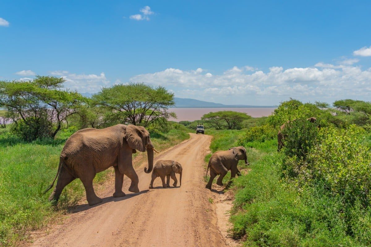 Kenya and Tanzania Safaris - Luxury African Safaris - Cheetah Safaris