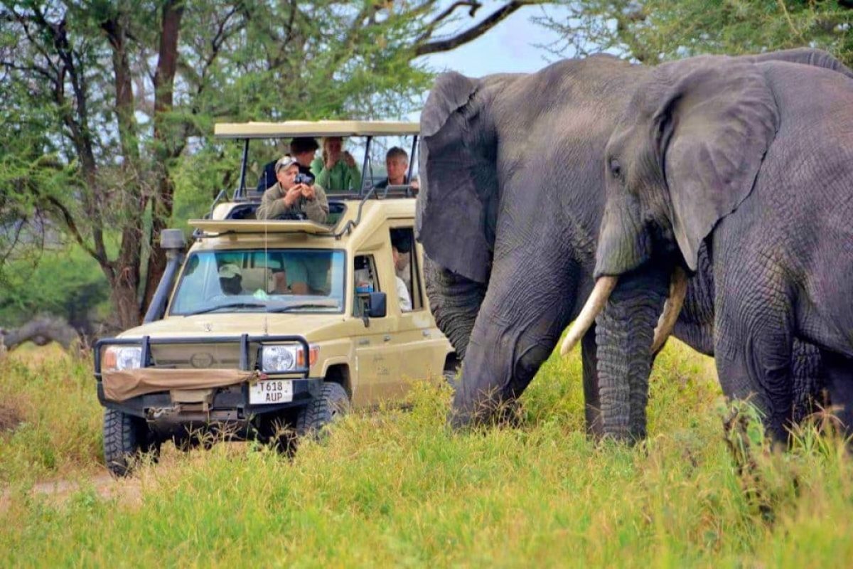 Kenya and Tanzania Safaris - Luxury African Safaris - Cheetah Safaris