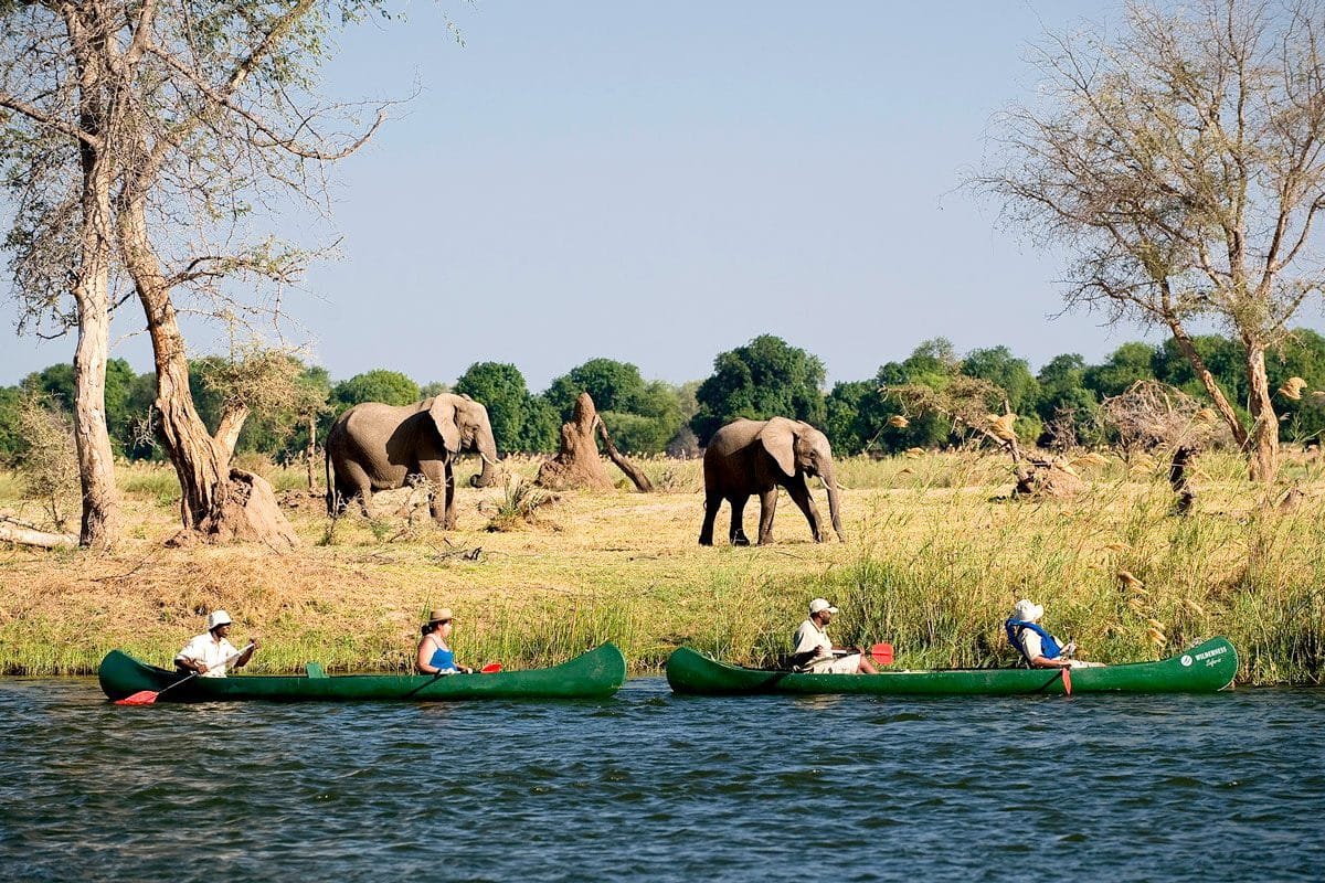 Luxury African Safaris - Zimbabwe Safaris - Canoeing - Cheetah Safaris