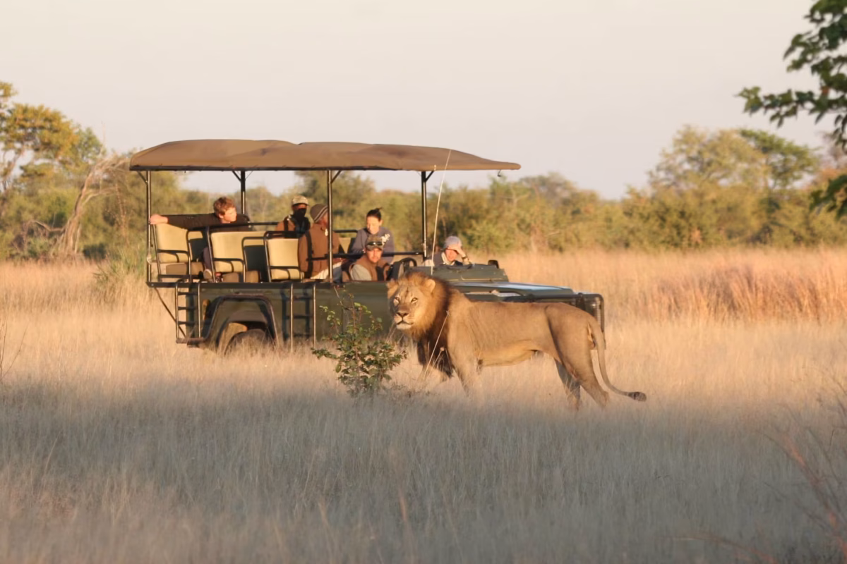 Luxury African Safaris - Zimbabwe Safaris - Cheetah Safaris