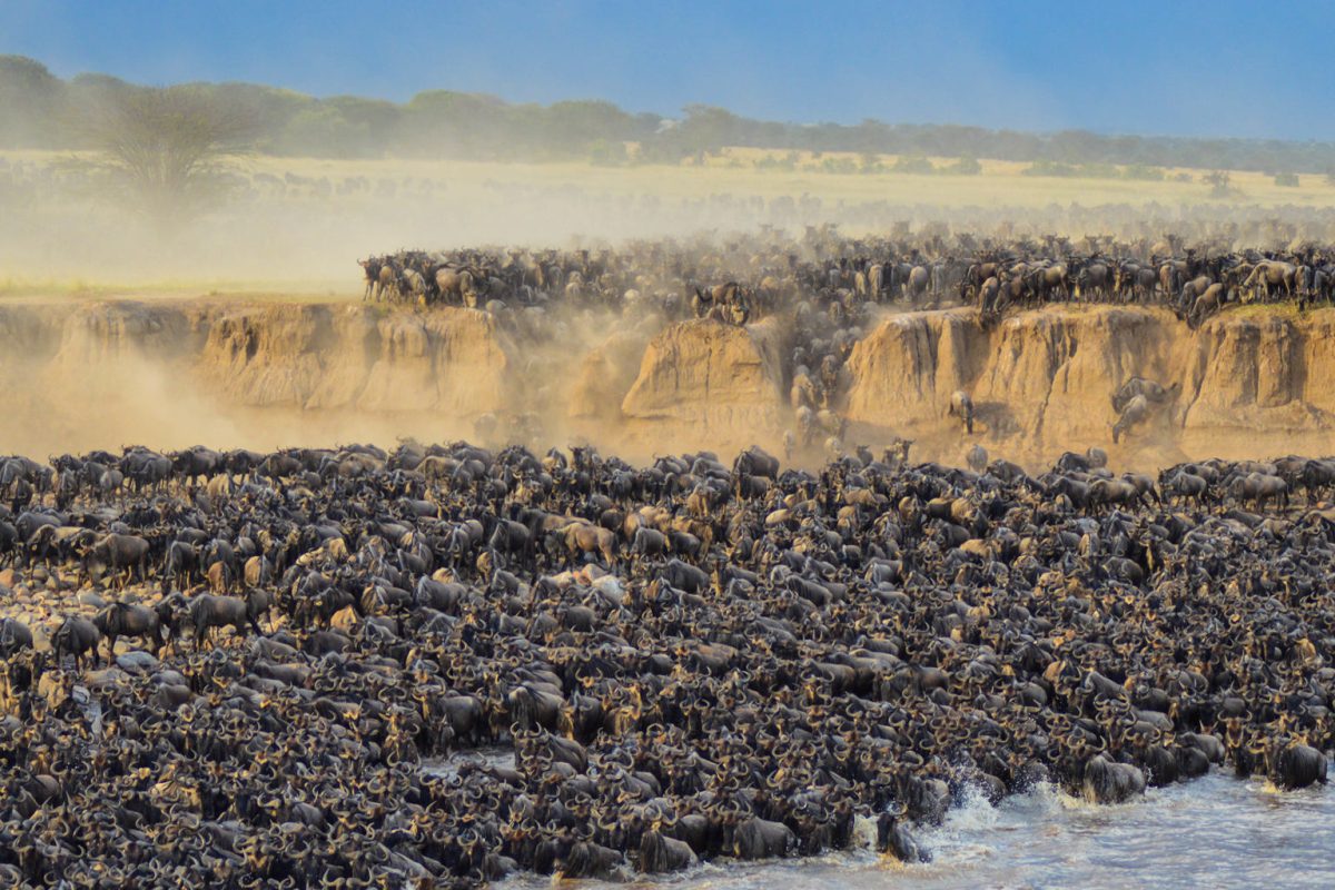 Luxury Serengeti Safaris - Wildebeest Migration - Luxury Tanzania Safaris - Cheetah Safaris