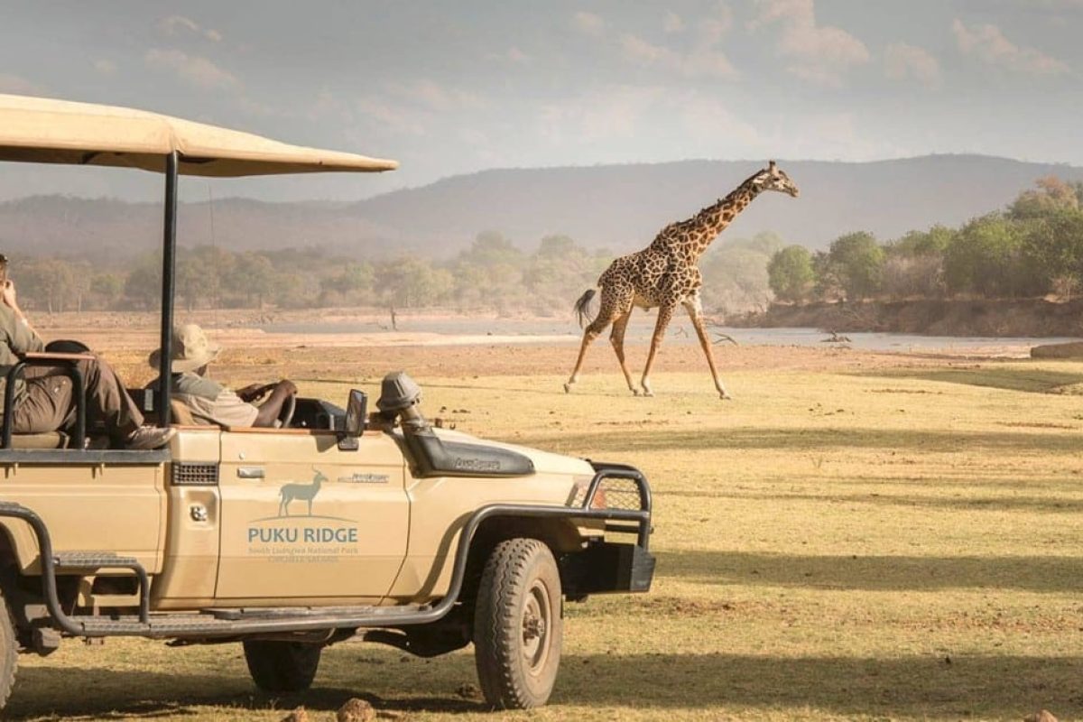 Luxury Zambia Safaris - South Luangwa National Park - African Safaris - Cheetah Safaris