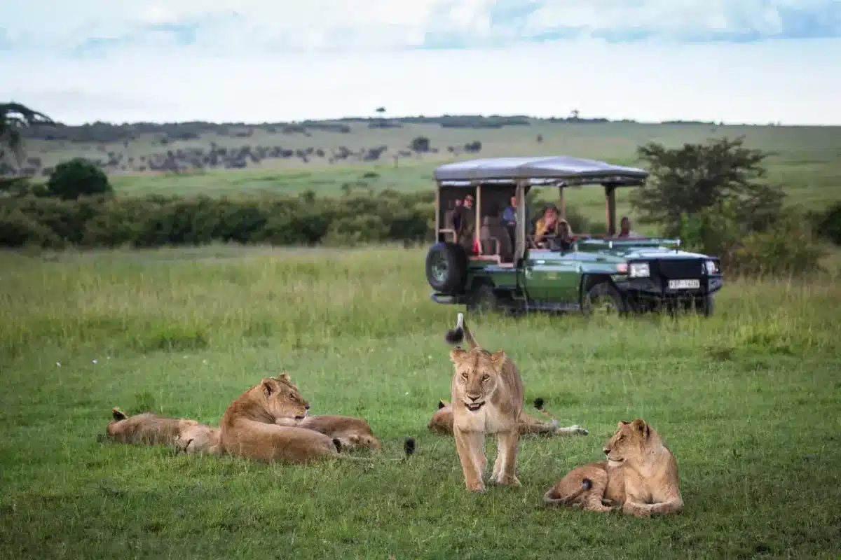 Flying Safaris in Africa - African Flying Safaris