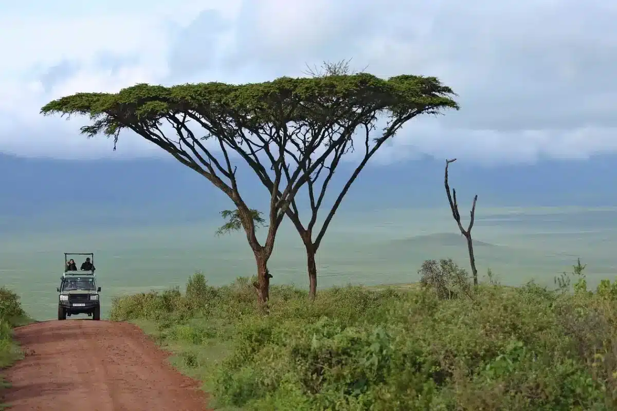 Ngorongoro Safaris - Tanzania Safaris - Cheetah Safaris