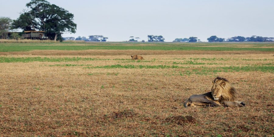 Kafue National Park Kafue National Park