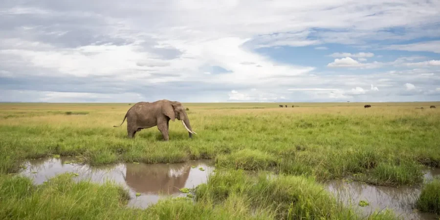 Safaris in April - Where to visit in Africa in April - Cheetah Safaris (2)