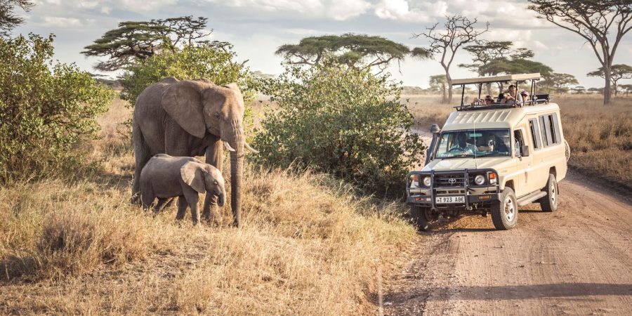 Serengeti National Park Serengeti National Park