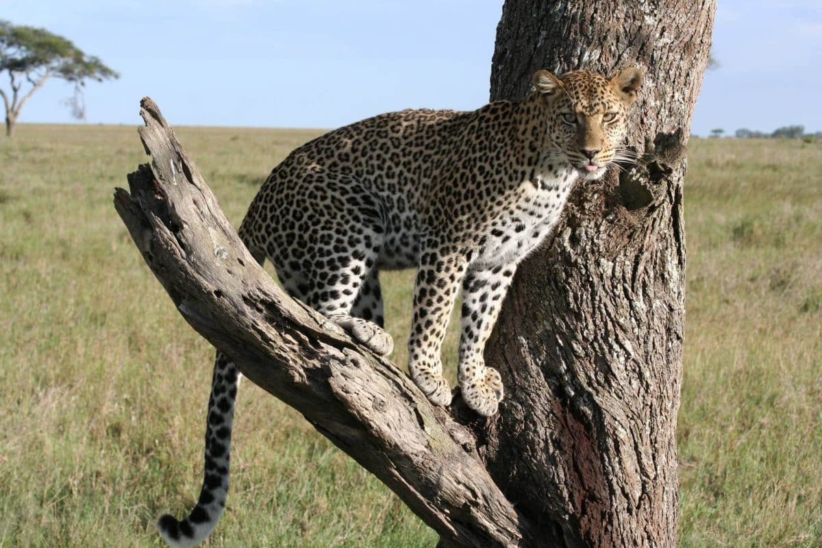 Serengeti National Park