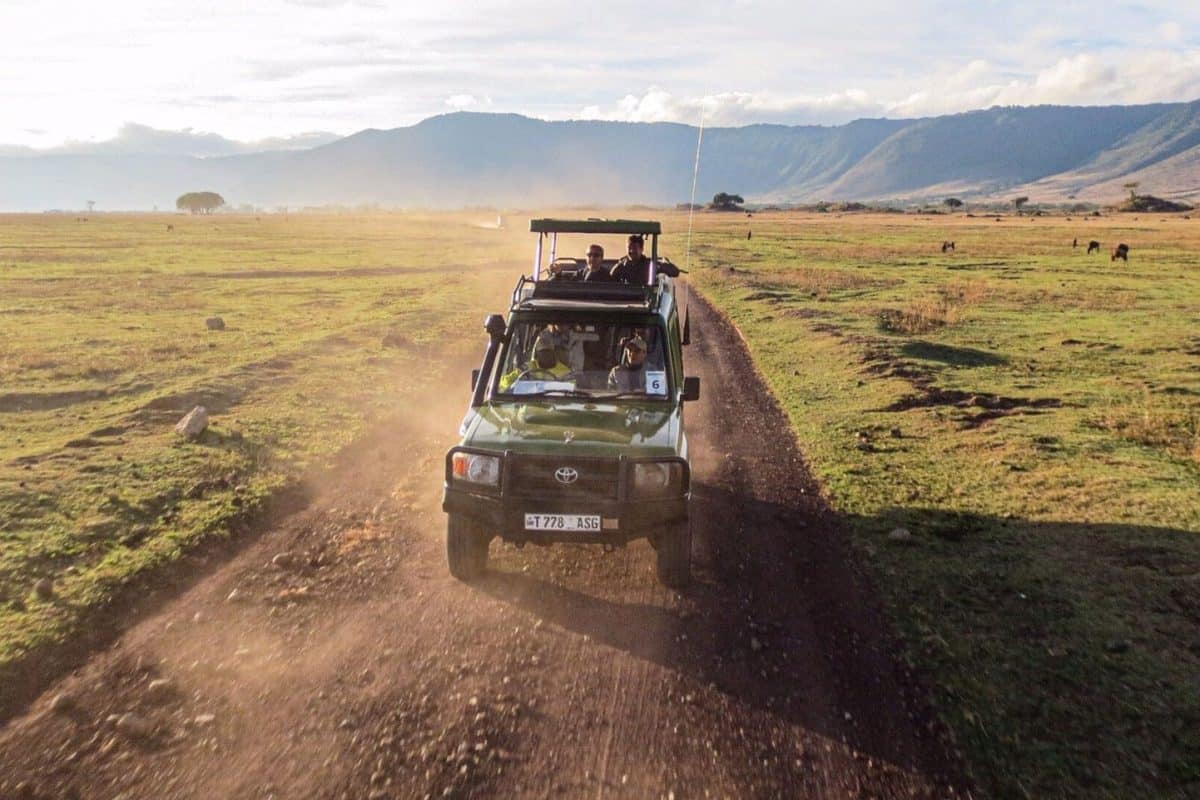 Tanzania National Parks - Ngorongoro - Cheetah Safaris 1