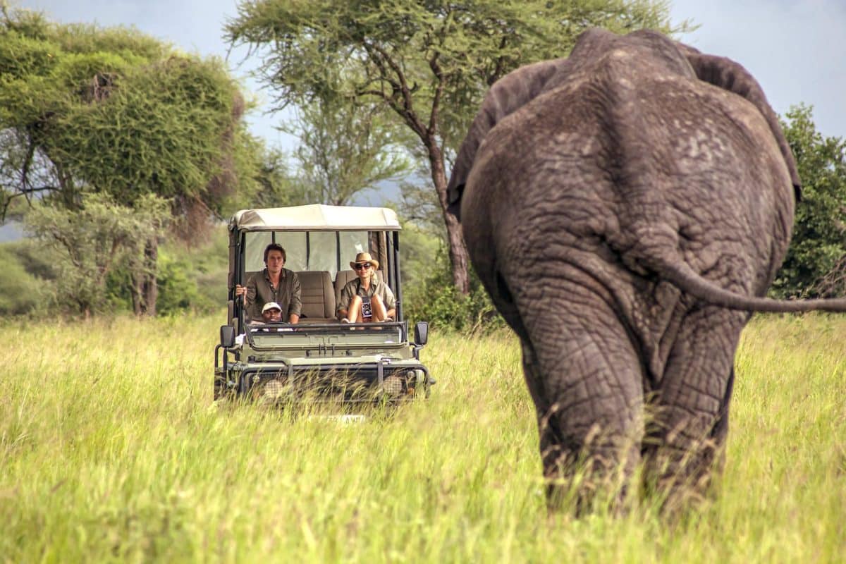 Tanzania National Parks - Tarangire - Cheetah Safaris