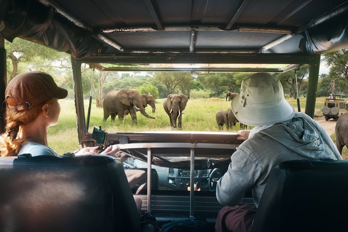 Tanzania Safaris in February - Best Time to Visit Tanzania - Cheetah Safaris