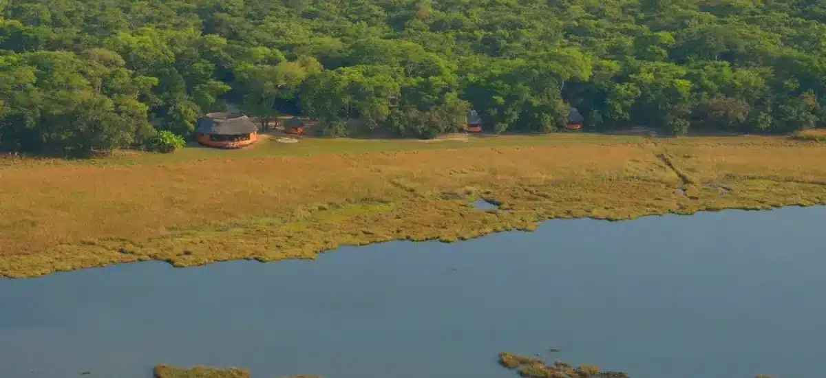 Zambia's Bat Migration