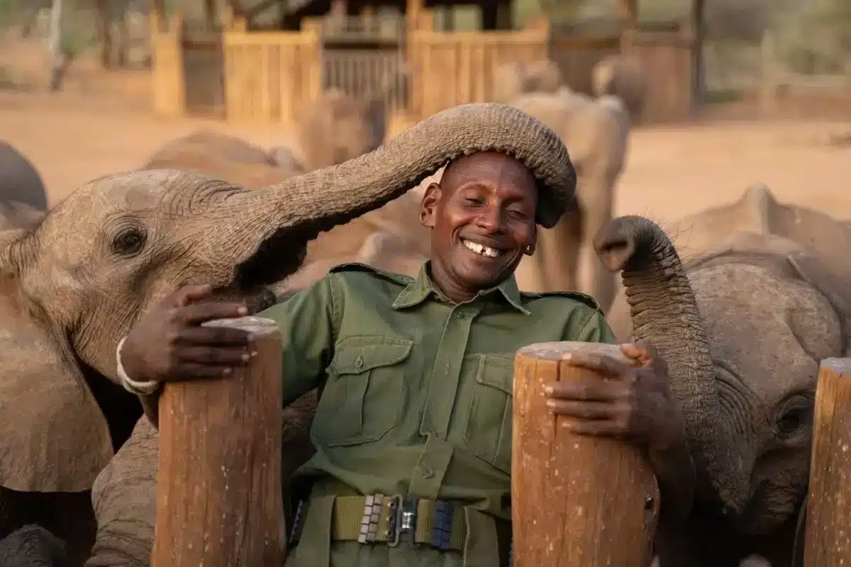 Wildlife Conservation Safaris - Reteti - Cheetah Safaris