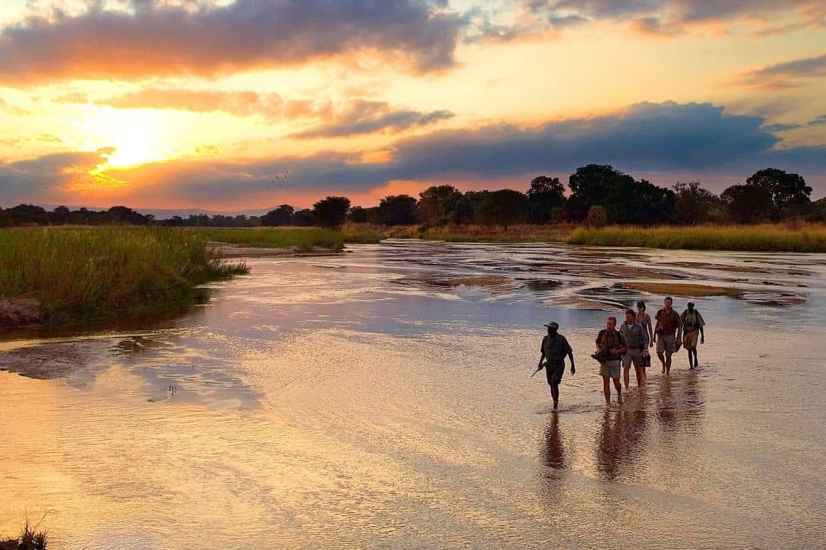 Zambia National Park - South Luangwa - Cheetah Safaris
