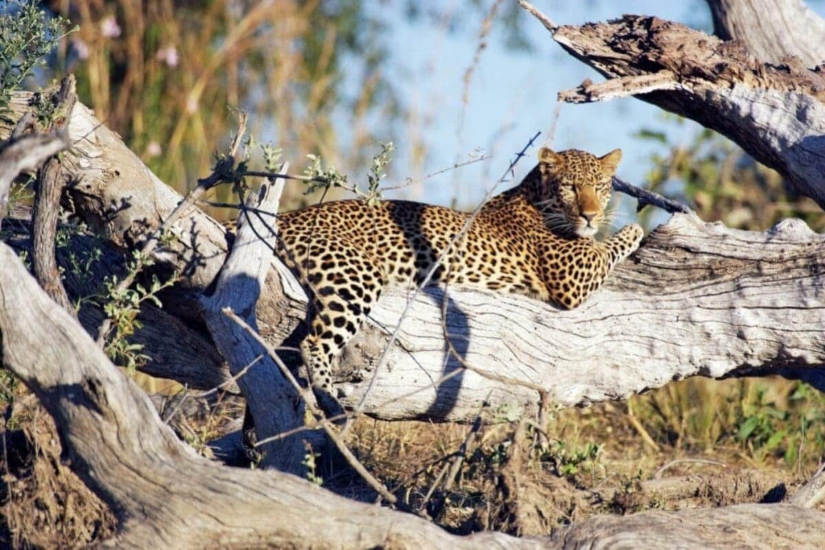 Kafue National Park
