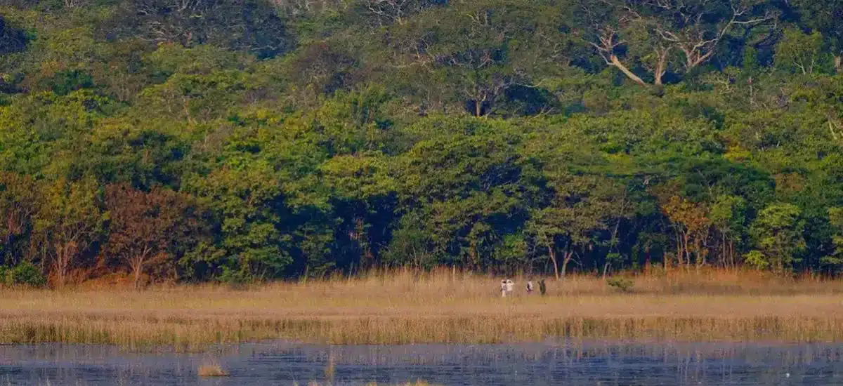 Kasanka National Park