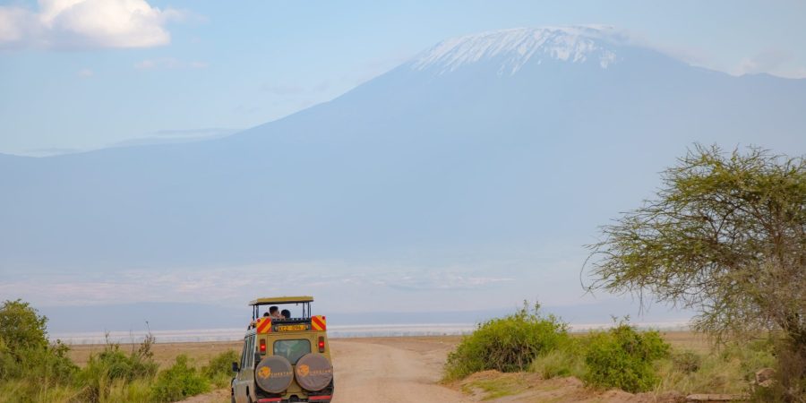 Kenya Safaris – Amboseli Safaris – Kenya Safari Holidays – African Safaris – Cheetah Safaris Kenya Safaris - Amboseli Safaris - Kenya Safari Holidays - African Safaris - Cheetah Safaris