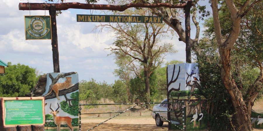 Mikumi National Park Mikumi National Park