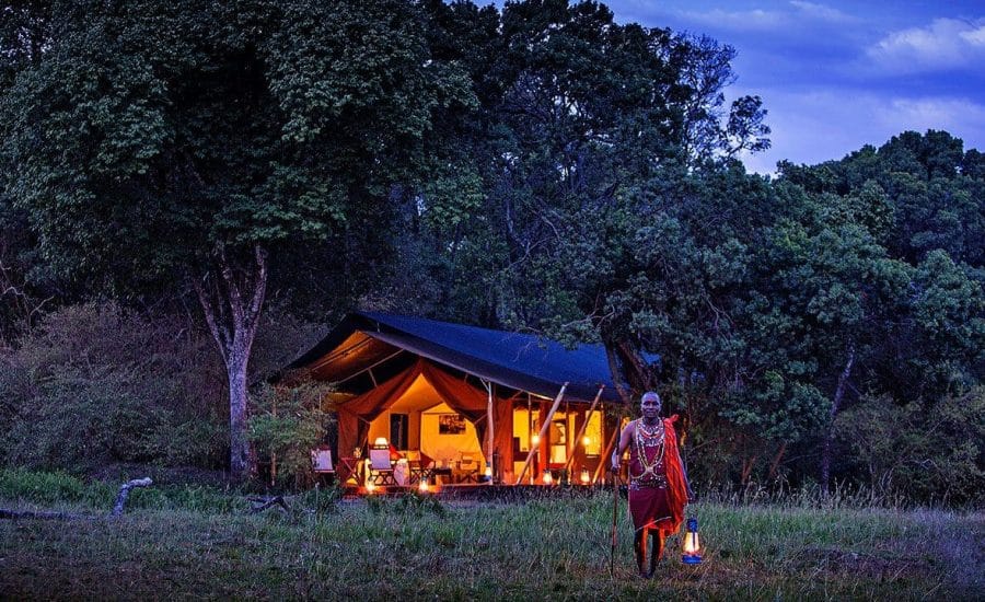 Elephant Pepper Camp