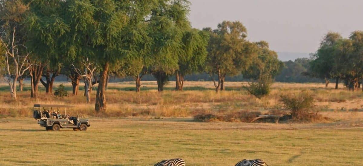 north-luangwa-national-park-eastern-zambia