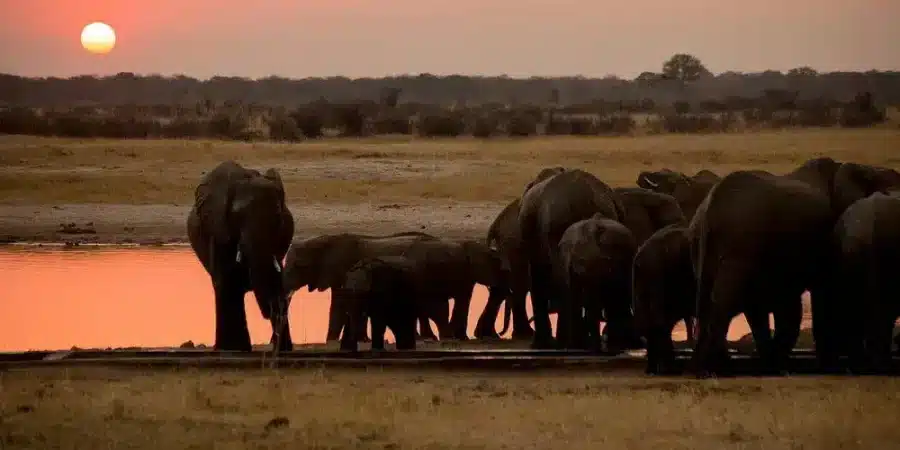 Hwange National Park