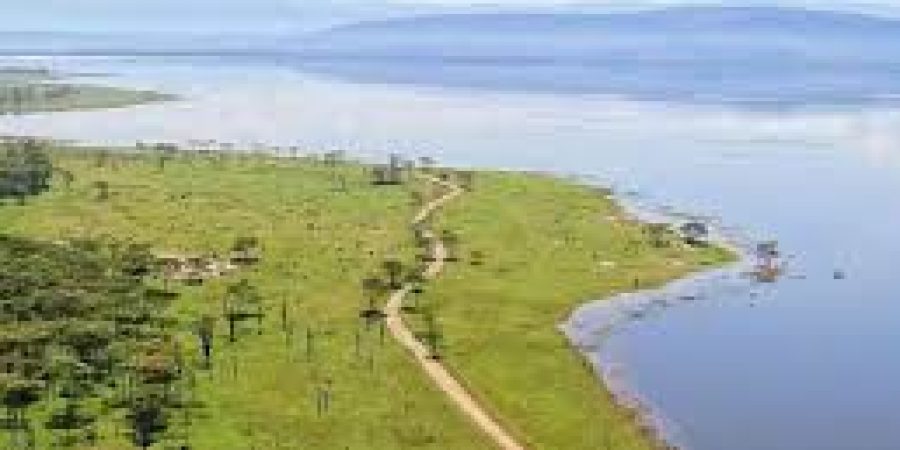 Lake Naivasha Lake Naivasha