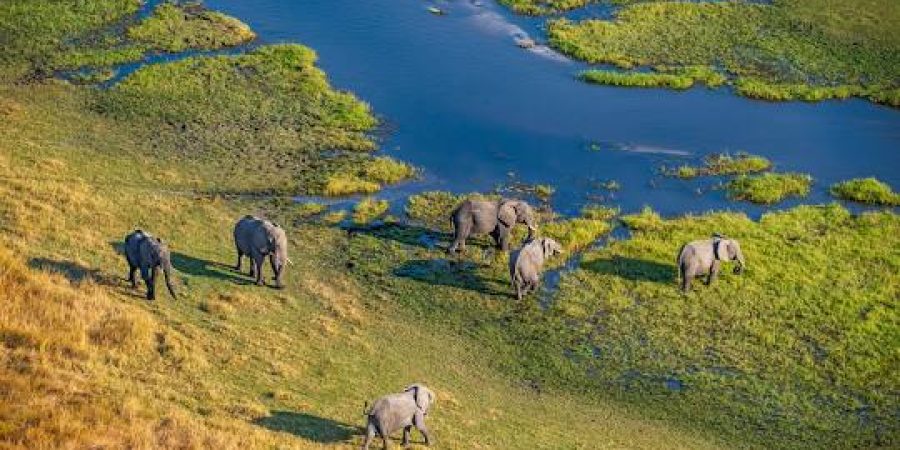 Okavango Delta Okavango Delta