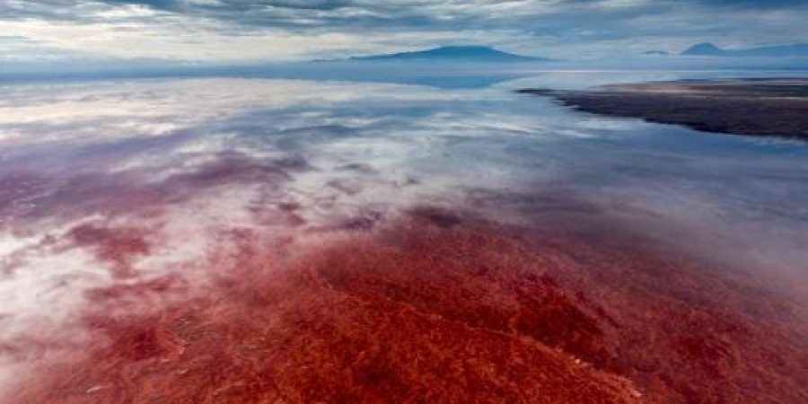 licensed-image Lake Natron Conservation Area