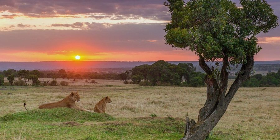 Mara North Conservancy – Masai Mara – Cheetah Safaris Mara North Conservancy - Masai Mara - Cheetah Safaris