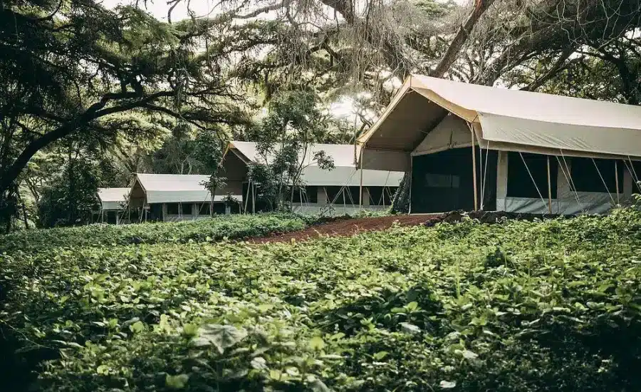 Ngorongoro Tortilis Camp
