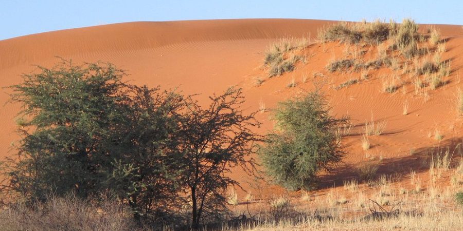 Kgalagadi Transfrontier Park Kgalagadi Transfrontier Park