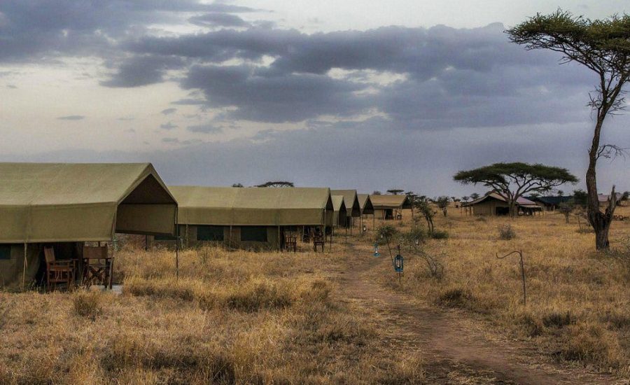 Pumzika Luxury Safari Camp Pumzika Luxury Safari Camp
