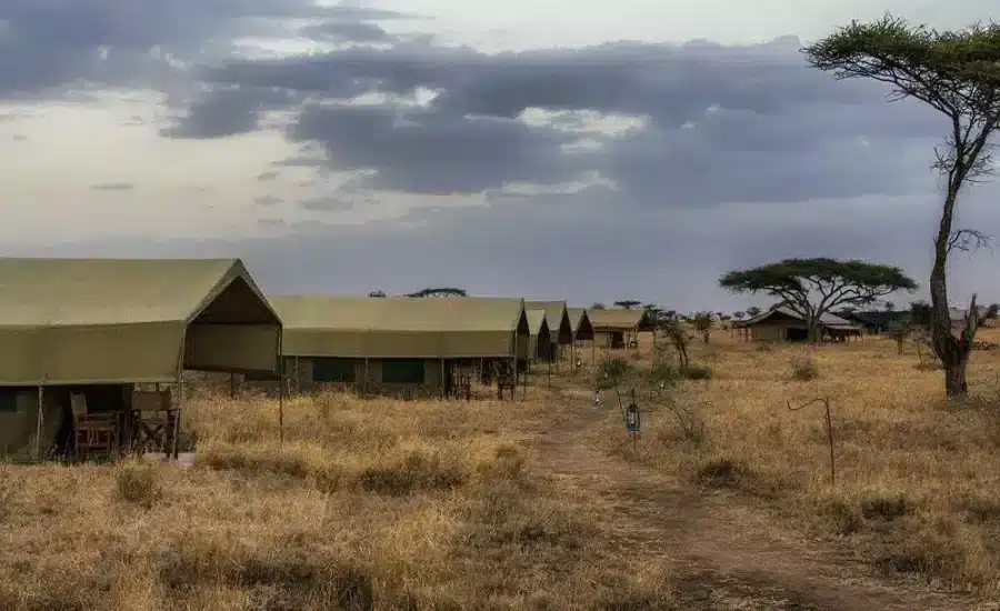 Pumzika Luxury Safari Camp
