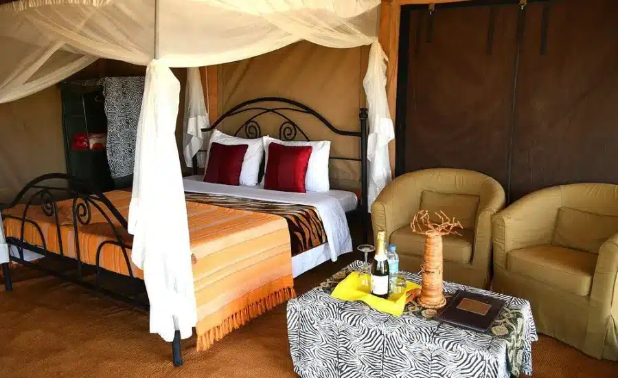 Serengeti Wild Camp