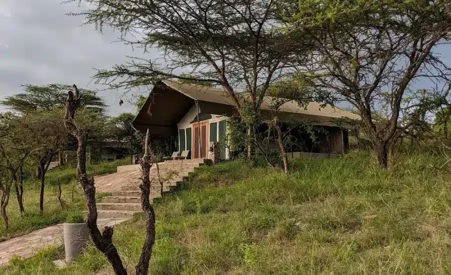 Taasa Lodge
