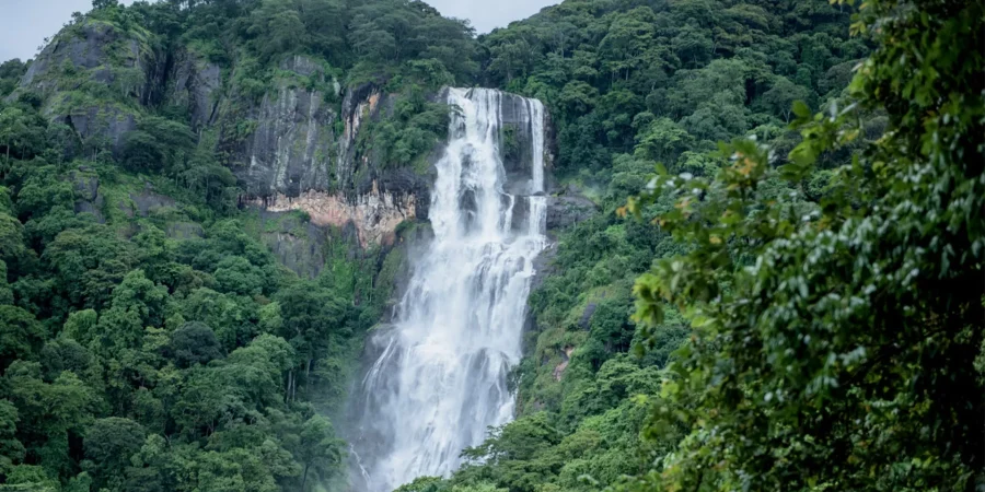 Udzungwa Mountains National Park Udzungwa Mountains National Park