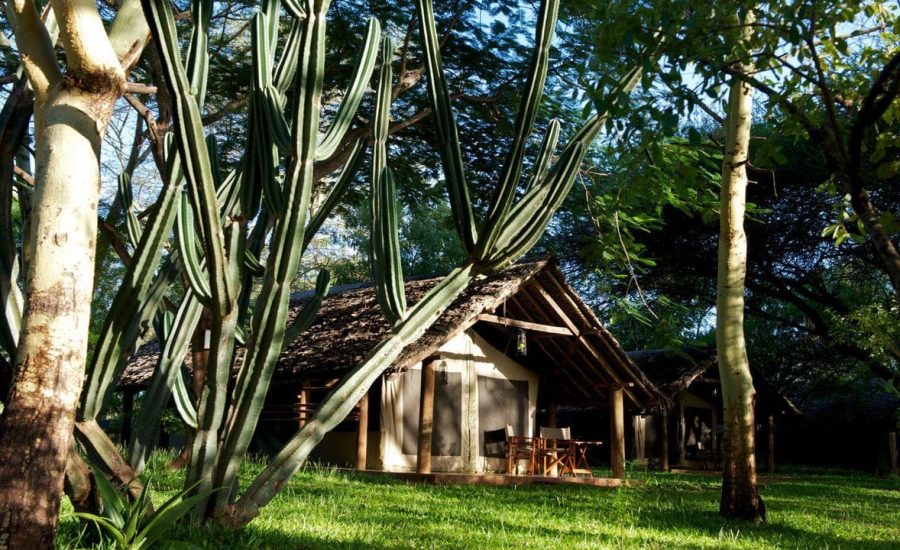 voyager-ziwani-galleryvt-105 voyager-ziwani-galleryvt-105