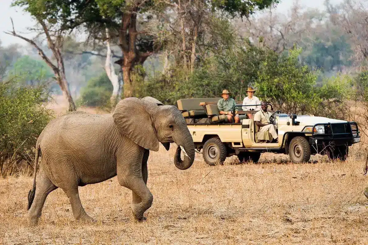 Zimbabwe Safaris - Luxury Zimbabwe Safaris