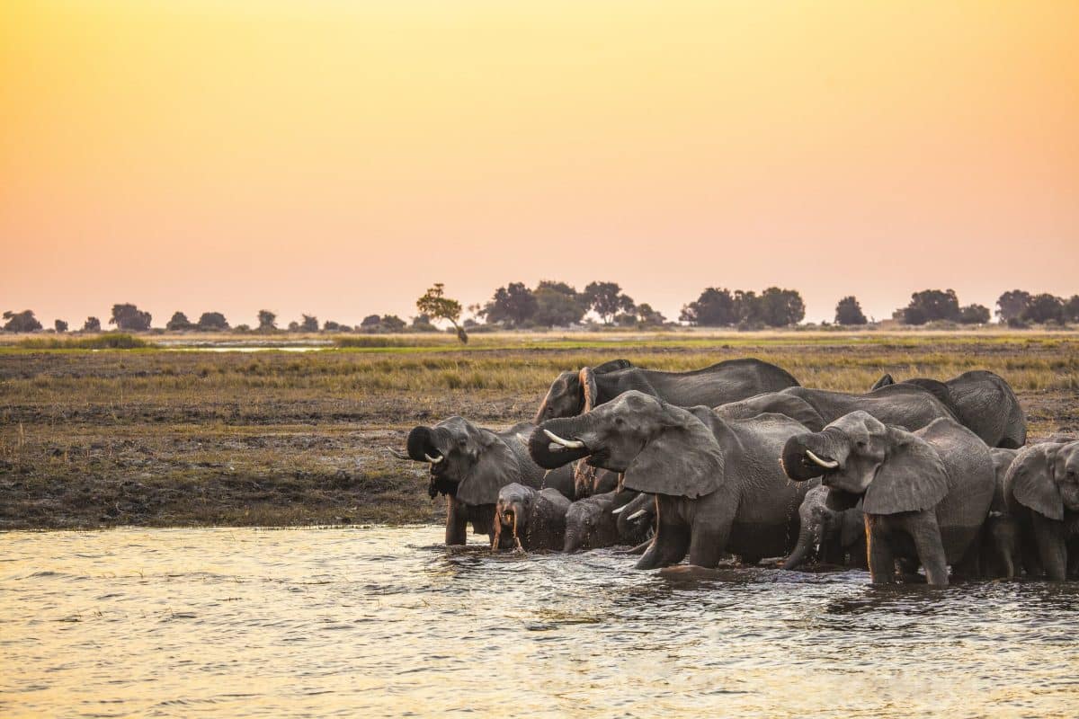 Zimbabwe Safaris - Luxury Zimbabwe Safaris